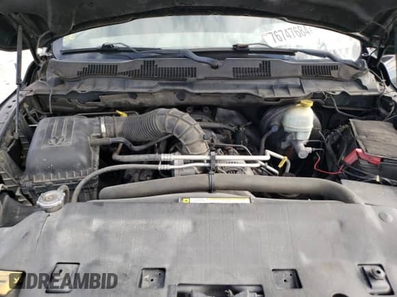 2009 Dodge 1500 SLT z VIN 1D3HB13T29S779144, wystawiony jako Copart lot #76747684 z przebiegiem 171 328 mil mil oraz Czysty tytuł • Clean title. Historia ofert i sprzedaży dostępna na DreamBid. Obrazek 11.