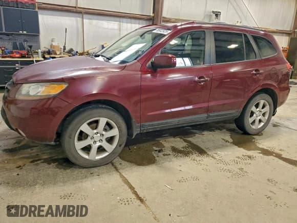 ✅ 2007 Hyundai Santa Fe GL 5Pass • VIN: 5NMSG13E07H102135 • Lot: 95942925. Listed on Copart with 258,683 mi. Free auction sales archive from the USA and detailed vehicle history report at DreamBid. Image 1.