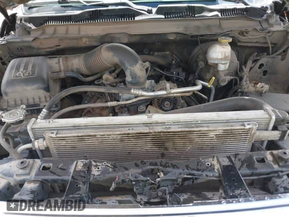 2019 Ram 1500 Big Horn with VIN 1C6RR6TT7KS711649, listed as a IAAI auction lot 42075056 with 300,649 mi miles and . Bid and sale history available at DreamBid. Image 10.