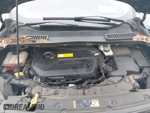 ✅ 2016 Ford Escape SE • VIN: 1FMCU0GX1GUA80637 • Lot: 42932338. Listed on IAAI with 119,651 mi. Free auction sales archive from the USA and detailed vehicle history report at DreamBid. Image 10.