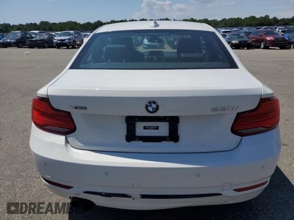 ✅ 2019 BMW 2 Series 230i xDrive • VIN: WBA2J3C55K7D21301 • Lot: 66929174. Listed on Copart with 37,398 mi. Free auction sales archive from the USA and detailed vehicle history report at DreamBid. Image 6.