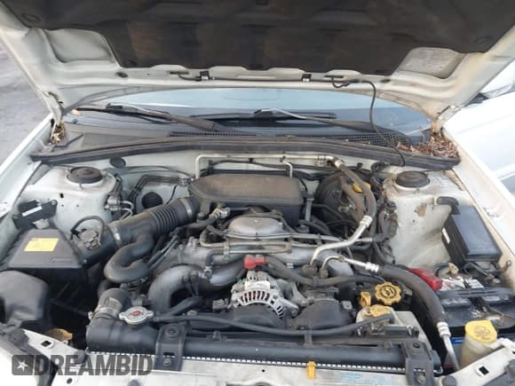 ✅ 2007 Subaru Forester X L.L. Bean • VIN: JF1SG67647H743277 • Лот: 43756012. Опубликован ранее на IAAI с пробегом 240 896 миль. Бесплатный доступ к архиву аукционных продаж из США и подробный отчёт об истории автомобиля на DreamBid. Изображение 10.