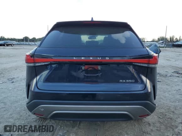 ✅ 2023 Lexus RX 350 • VIN: 2T2BAMBA6PC007002 • Lot: 74557244. Wystawiony na Copart z przebiegiem 19 145 mil. Bezpłatny archiwum sprzedaży aukcyjnych z USA i szczegółowy raport historii pojazdu na DreamBid. Zdjęcie 6.