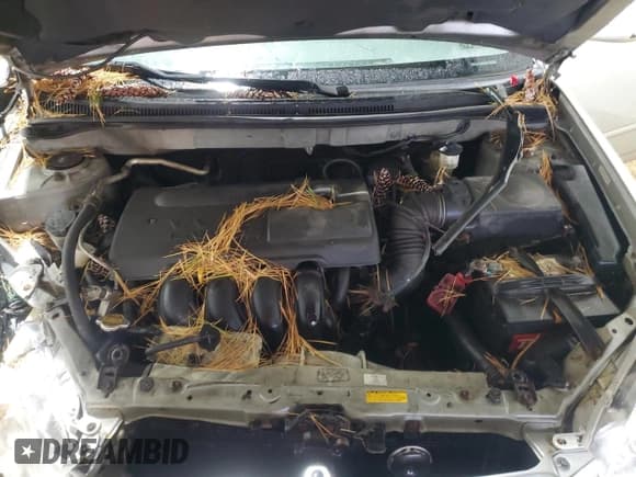 ✅ 2003 Toyota Corolla LE • VIN: 1NXBR32E23Z176307 • Лот: 90715435. Опубликован ранее на Copart с пробегом Не указан. Бесплатный доступ к архиву аукционных продаж из США и подробный отчёт об истории автомобиля на DreamBid. Изображение 11.