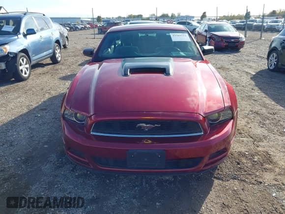 ✅ 2014 Ford Mustang V6 • VIN: 1ZVBP8AM7E5311338 • Лот: 43569551. Опубликован ранее на IAAI с пробегом 156 116 миль. Бесплатный доступ к архиву аукционных продаж из США и подробный отчёт об истории автомобиля на DreamBid. Изображение 12.
