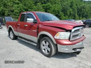 ✅ 2009 Dodge 1500 Sport • VIN: 1D3HV18T39S823619 • Lot: 60031415. Wystawiony na Copart z przebiegiem 129 340 mil. Bezpłatny archiwum sprzedaży aukcyjnych z USA i szczegółowy raport historii pojazdu na DreamBid. Zdjęcie 4.