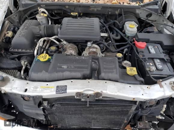 2002 Dodge Dakota SLT с VIN 1B7GL42N62S505411, выставлен на аукционе Copart как лот 48993274 с пробегом 107 528 миль миль и На запчасти • Non repairable. История ставок и продаж доступна на DreamBid. Изображение 11.