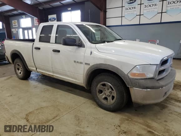 ✅ 2010 Dodge 1500 Laramie • VIN: 1D7RV1GTXAS241316 • Lot: 43899965. Wystawiony na Copart z przebiegiem 148 320 mil. Bezpłatny archiwum sprzedaży aukcyjnych z USA i szczegółowy raport historii pojazdu na DreamBid. Zdjęcie 4.