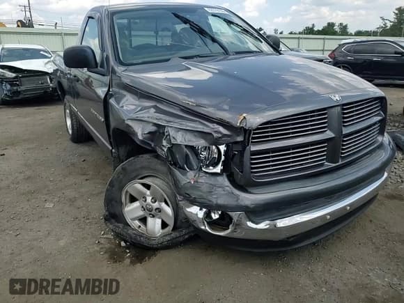 ✅ 2003 Dodge 1500 ST • VIN: 1D7HU16D43J628641 • Лот: 62378135. Опубликован ранее на Copart с пробегом 237 218 миль. Бесплатный доступ к архиву аукционных продаж из США и подробный отчёт об истории автомобиля на DreamBid. Изображение 14.