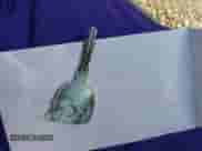 1998 Saturn SL z VIN 1G8ZK5272WZ236253, wystawiony jako IAAI lot #41372881 z przebiegiem Nie podano mil oraz . Historia ofert i sprzedaży dostępna na DreamBid. Obrazek 11.