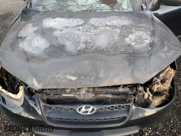 ✅ 2008 Hyundai Santa Fe GLS • VIN: 5NMSG73D68H194203 • Lot: 79251264. Listed on Copart with Not provided. Free auction sales archive from the USA and detailed vehicle history report at DreamBid. Image 12.