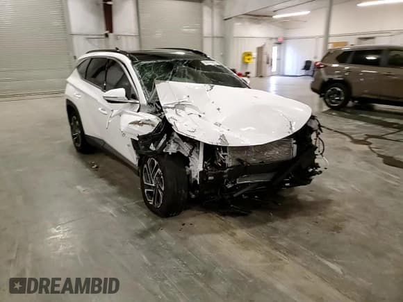 ✅ 2025 Hyundai Tucson Limited • VIN: 5NMJECDE5SH474509 • Lot: 69048965. Listed on Copart with 10,270 mi. Free auction sales archive from the USA and detailed vehicle history report at DreamBid. Image 15.