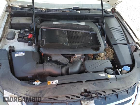 ✅ 2013 Hyundai Equus Signature • VIN: KMHGH4JH8DU070116 • Лот: 56278165. Опубликован ранее на Copart с пробегом 170 895 миль. Бесплатный доступ к архиву аукционных продаж из США и подробный отчёт об истории автомобиля на DreamBid. Изображение 11.