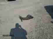 2014 Chevrolet Malibu LS with VIN 1G11A5SL5EF287807, listed as a Copart auction lot 66069575 with 65,514 mi miles and Salvage title. Bid and sale history available at DreamBid. Image 12.