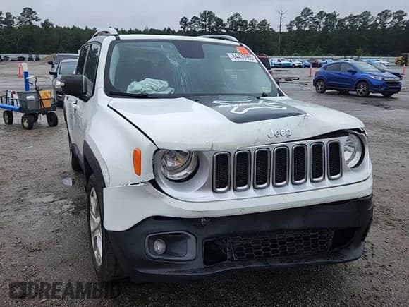 ✅ 2017 Jeep Renegade Limited • VIN: ZACCJADB0HPG17531 • Lot: 84433965. Wystawiony na Copart z przebiegiem 125 914 mil. Bezpłatny archiwum sprzedaży aukcyjnych z USA i szczegółowy raport historii pojazdu na DreamBid. Zdjęcie 13.