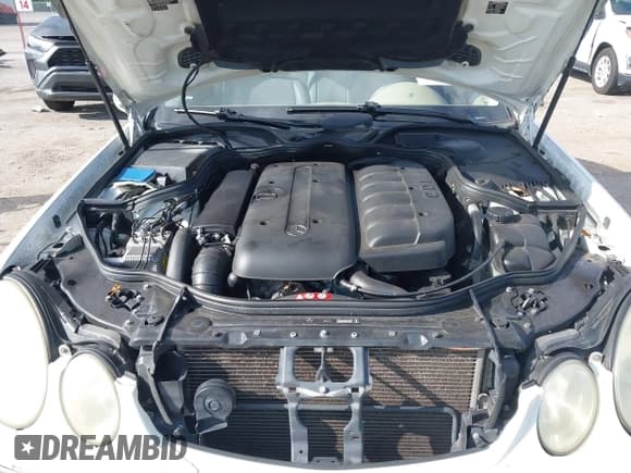 ✅ 2005 Mercedes-Benz E 320 CDI • VIN: WDBUF26J15A813195 • Lot: 42530265. Wystawiony na IAAI z przebiegiem 155 020 mil. Bezpłatny archiwum sprzedaży aukcyjnych z USA i szczegółowy raport historii pojazdu na DreamBid. Zdjęcie 10.