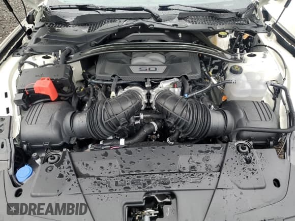 ✅ 2025 Ford Mustang GT Premium • VIN: 1FAGP8FF3S5113070 • Лот: 93537925. Опубликован ранее на Copart с пробегом Не указан. Бесплатный доступ к архиву аукционных продаж из США и подробный отчёт об истории автомобиля на DreamBid. Изображение 11.