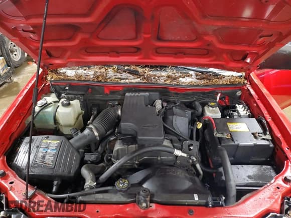 ✅ 2008 Isuzu i-Series S • VIN: 1GGCS299388702779 • Lot: 46425705. Listed on Copart with 139,570 mi. Free auction sales archive from the USA and detailed vehicle history report at DreamBid. Image 11.