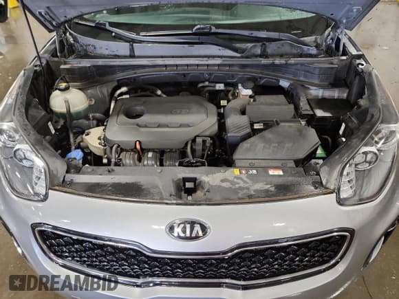✅ 2019 Kia Sportage LX • VIN: KNDPMCAC4K7607297 • Lot: 81673485. Listed on Copart with 64,589 mi. Free auction sales archive from the USA and detailed vehicle history report at DreamBid. Image 12.
