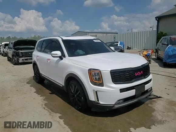 ✅ 2022 Kia Telluride SX • VIN: 5XYP54HC1NG302615 • Lot: 67863665. Wystawiony na Copart z przebiegiem 103 471 mil. Bezpłatny archiwum sprzedaży aukcyjnych z USA i szczegółowy raport historii pojazdu na DreamBid. Zdjęcie 14.