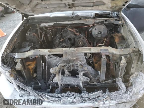 ✅ 2008 Chevrolet Silverado 1500 • VIN: 1GCEC14J78Z184107 • Лот: 84235864. Опубликован ранее на Copart с пробегом Не указан. Бесплатный доступ к архиву аукционных продаж из США и подробный отчёт об истории автомобиля на DreamBid. Изображение 11.