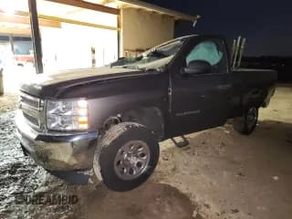 ✅ 2013 Chevrolet Silverado 1500 Work Truck • VIN: 1GCNCPEX5DZ109924 • Lot: 91876035. Wystawiony na Copart z przebiegiem Nie podano. Bezpłatny archiwum sprzedaży aukcyjnych z USA i szczegółowy raport historii pojazdu na DreamBid. Zdjęcie 1.