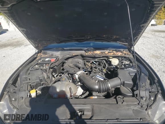 ✅ 2016 Ford Mustang V6 • VIN: 1FA6P8AM6G5214905 • Lot: 81378645. Listed on Copart with 36,623 mi. Free auction sales archive from the USA and detailed vehicle history report at DreamBid. Image 11.