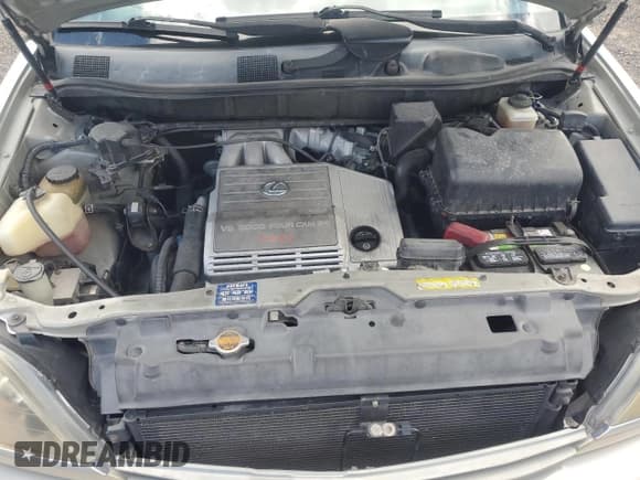 ✅ 1999 Lexus RX 300 • VIN: JT6GF10U7X0019264 • Лот: 85141815. Опубликован ранее на Copart с пробегом 143 087 миль. Бесплатный доступ к архиву аукционных продаж из США и подробный отчёт об истории автомобиля на DreamBid. Изображение 12.