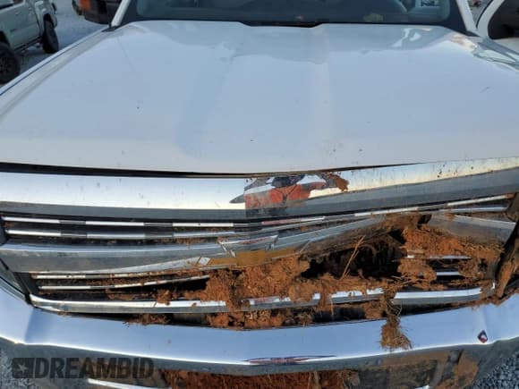 ✅ 2016 Chevrolet Silverado 2500HD Work Truck • VIN: 1GC1CUEG9GF264625 • Lot: 85853464. Wystawiony na Copart z przebiegiem 174 716 mil. Bezpłatny archiwum sprzedaży aukcyjnych z USA i szczegółowy raport historii pojazdu na DreamBid. Zdjęcie 11.