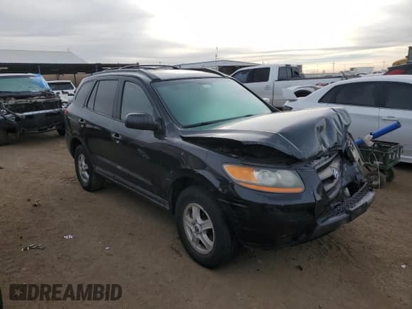 ✅ 2009 Hyundai Santa Fe GLS • VIN: 5NMSG73D89H286849 • Lot: 82440874. Listed on Copart with 179,827 mi. Free auction sales archive from the USA and detailed vehicle history report at DreamBid. Image 4.