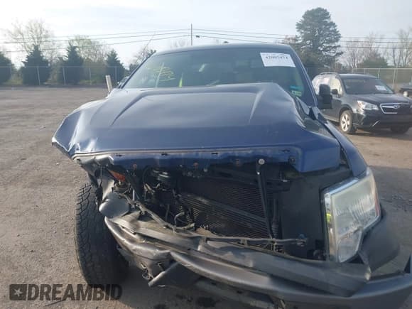 ✅ 2011 Ford F-150 XL • VIN: 1FTMF1CM8BFA48382 • Lot: 42005474. Listed on IAAI with 154,915 mi. Free auction sales archive from the USA and detailed vehicle history report at DreamBid. Image 12.
