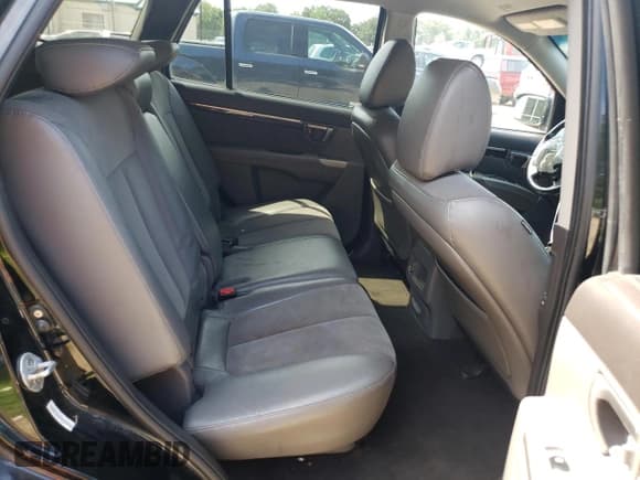 ✅ 2010 Hyundai Santa Fe SE • VIN: 5NMSH4AG8AH396247 • Lot: 66035984. Listed on Copart with 219,837 mi. Free auction sales archive from the USA and detailed vehicle history report at DreamBid. Image 11.