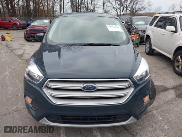 ✅ 2019 Ford Escape SE • VIN: 1FMCU0GD5KUB97930 • Lot: 43737106. Wystawiony na IAAI z przebiegiem 181 175 mil. Bezpłatny archiwum sprzedaży aukcyjnych z USA i szczegółowy raport historii pojazdu na DreamBid. Zdjęcie 12.