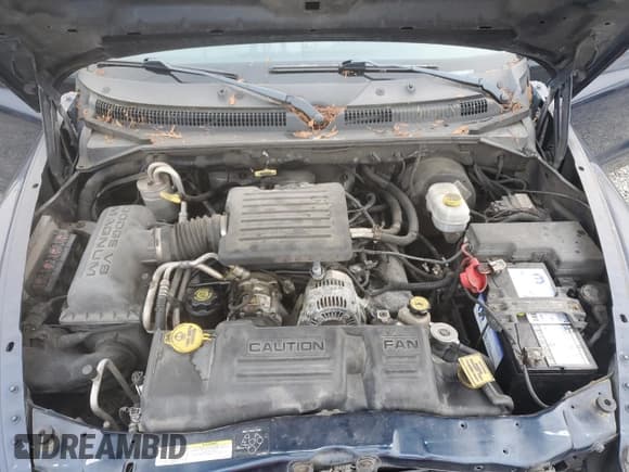 ✅ 2003 Dodge Dakota SLT • VIN: 1D7HG48N03S127089 • Lot: 83116764. Wystawiony na Copart z przebiegiem 173 802 mil. Bezpłatny archiwum sprzedaży aukcyjnych z USA i szczegółowy raport historii pojazdu na DreamBid. Zdjęcie 11.