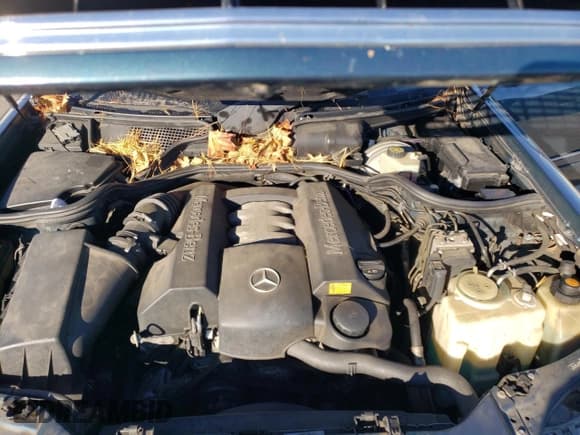 ✅ 1999 Mercedes-Benz E 320 • VIN: WDBJH82F4XX026758 • Lot: 76740804. Listed on Copart with 136,782 mi. Free auction sales archive from the USA and detailed vehicle history report at DreamBid. Image 12.