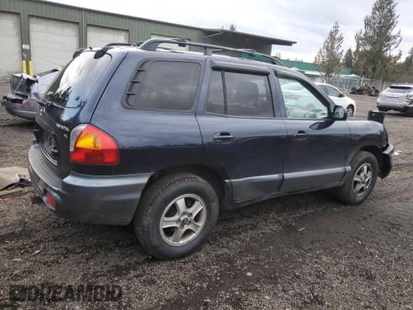 2004 Hyundai Santa Fe GLS z VIN KM8SC13D34U828462, wystawiony jako Copart lot #43808975 z przebiegiem 299 605 mil mil oraz Szkoda całkowita • Salvage title. Historia ofert i sprzedaży dostępna na DreamBid. Obrazek 3.