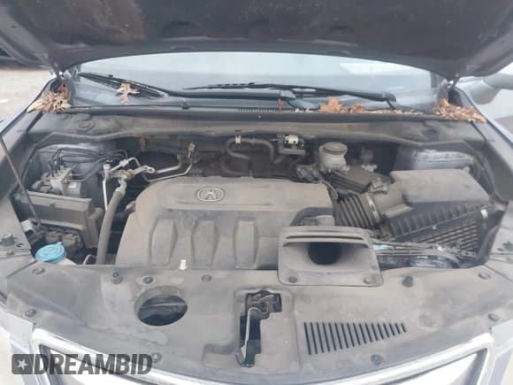 ✅ 2013 Acura RDX Technology • VIN: 5J8TB3H56DL012037 • Lot: 43540677. Wystawiony na IAAI z przebiegiem 124 338 mil. Bezpłatny archiwum sprzedaży aukcyjnych z USA i szczegółowy raport historii pojazdu na DreamBid. Zdjęcie 10.