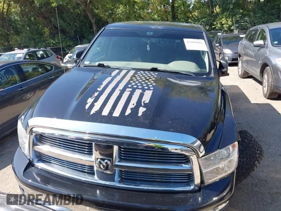 ✅ 2010 Dodge 1500 SLT • VIN: 1D7RV1GT0AS110301 • Лот: 43104981. Опубликован ранее на IAAI с пробегом 113 028 миль. Бесплатный доступ к архиву аукционных продаж из США и подробный отчёт об истории автомобиля на DreamBid. Изображение 12.