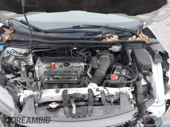 ✅ 2014 Honda CR-V LX • VIN: 5J6RM4H35EL099917 • Лот: 43626234. Опубликован ранее на IAAI с пробегом 98 917 миль. Бесплатный доступ к архиву аукционных продаж из США и подробный отчёт об истории автомобиля на DreamBid. Изображение 10.