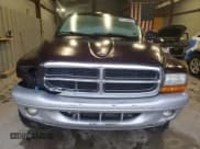 ✅ 2004 Dodge Dakota SLT • VIN: 1D7HG42N24S677145 • Lot: 81749255. Listed on Copart with Not provided. Free auction sales archive from the USA and detailed vehicle history report at DreamBid. Image 5.