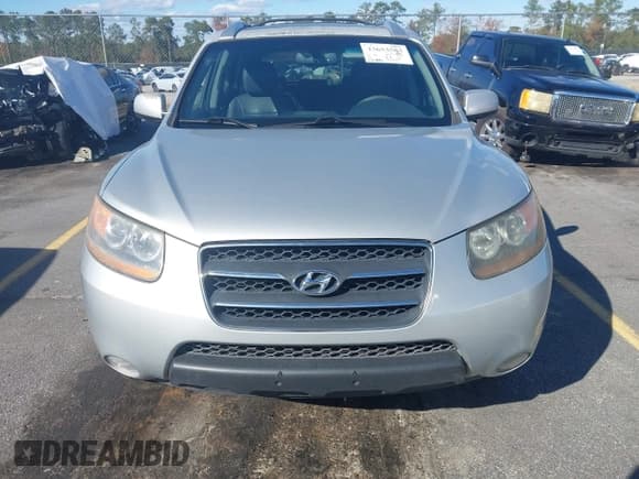 ✅ 2009 Hyundai Santa Fe Limited • VIN: 5NMSH13E29H295436 • Лот: 43653583. Опубликован ранее на IAAI с пробегом 205 891 миль. Бесплатный доступ к архиву аукционных продаж из США и подробный отчёт об истории автомобиля на DreamBid. Изображение 6.