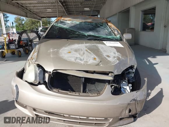 ✅ 2004 Toyota Corolla CE • VIN: 1NXBR32E14Z272799 • Lot: 43664394. Wystawiony na IAAI z przebiegiem 214 374 mil. Bezpłatny archiwum sprzedaży aukcyjnych z USA i szczegółowy raport historii pojazdu na DreamBid. Zdjęcie 12.