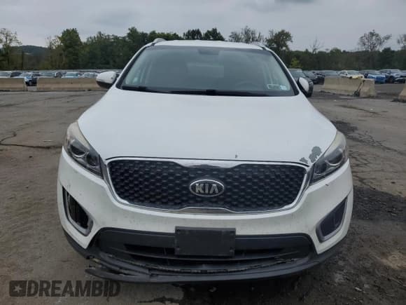 ✅ 2017 Kia Sorento LX • VIN: 5XYPGDA3XHG254413 • Lot: 81649915. Listed on Copart with 110,787 mi. Free auction sales archive from the USA and detailed vehicle history report at DreamBid. Image 5.