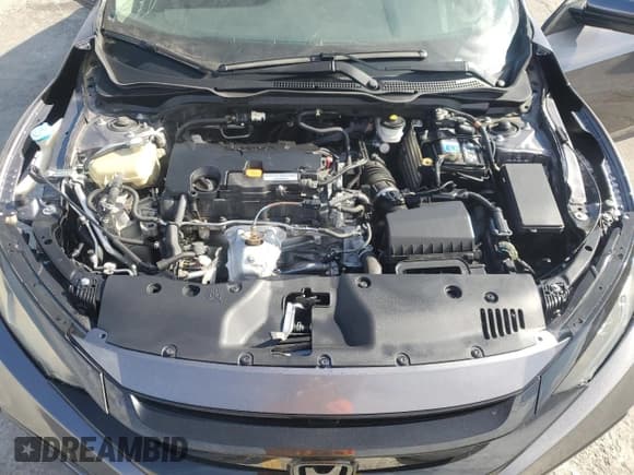 ✅ 2020 Honda Civic LX • VIN: 2HGFC2F67LH534431 • Lot: 87424455. Wystawiony na Copart z przebiegiem Nie podano. Bezpłatny archiwum sprzedaży aukcyjnych z USA i szczegółowy raport historii pojazdu na DreamBid. Zdjęcie 11.