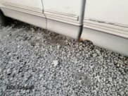 ✅ 1997 Ford F-250 • VIN: 1FTFX27L1VNB81458 • Lot: 83206264. Listed on Copart with 231,088 mi. Free auction sales archive from the USA and detailed vehicle history report at DreamBid. Image 11.