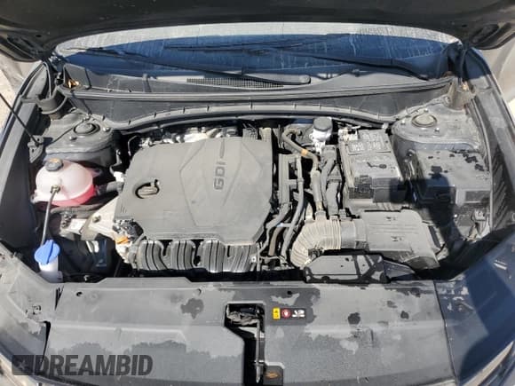 ✅ 2023 Hyundai Tucson SEL • VIN: 5NMJB3AE2PH244737 • Lot: 74196634. Wystawiony na Copart z przebiegiem 64 229 mil. Bezpłatny archiwum sprzedaży aukcyjnych z USA i szczegółowy raport historii pojazdu na DreamBid. Zdjęcie 11.