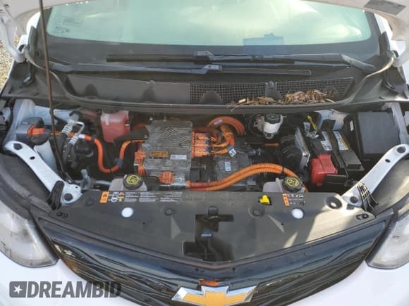 ✅ 2021 Chevrolet Bolt EV LT • VIN: 1G1FY6S08M4114824 • Lot: 42836955. Wystawiony na Copart z przebiegiem 45 768 mil. Bezpłatny archiwum sprzedaży aukcyjnych z USA i szczegółowy raport historii pojazdu na DreamBid. Zdjęcie 11.