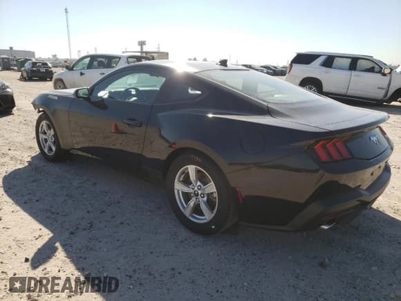 ✅ 2024 Ford Mustang EcoBoost • VIN: 1FA6P8TH2R5111676 • Лот: 42688734. Опубликован ранее на Copart с пробегом 3 955 миль. Бесплатный доступ к архиву аукционных продаж из США и подробный отчёт об истории автомобиля на DreamBid. Изображение 2.
