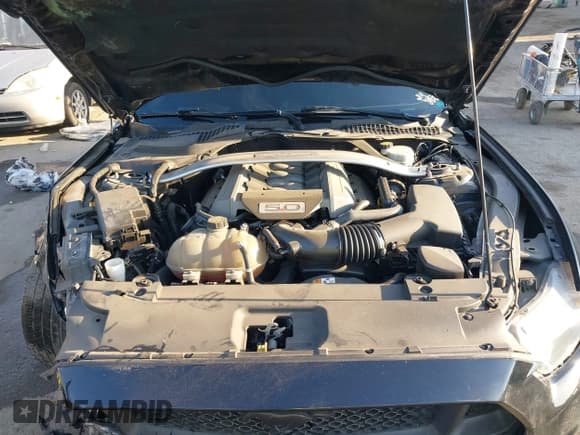 ✅ 2017 Ford Mustang GT • VIN: 1FA6P8CF3H5277668 • Lot: 43117218. Wystawiony na IAAI z przebiegiem 45 694 mil. Bezpłatny archiwum sprzedaży aukcyjnych z USA i szczegółowy raport historii pojazdu na DreamBid. Zdjęcie 10.