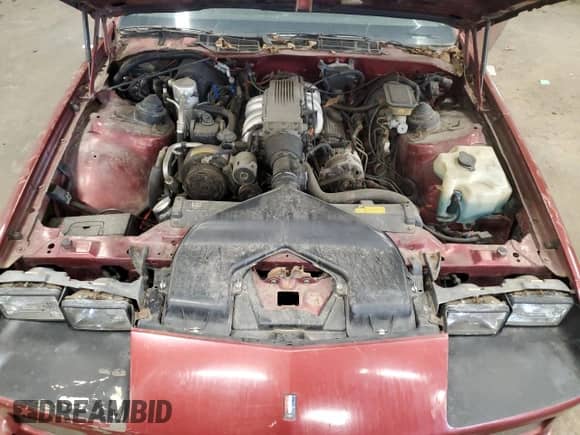 1988 Chevrolet Camaro with VIN 1G1FP2185JL179067, listed as a Copart auction lot 56688595 with 98,909 mi miles and Non repairable. Bid and sale history available at DreamBid. Image 11.